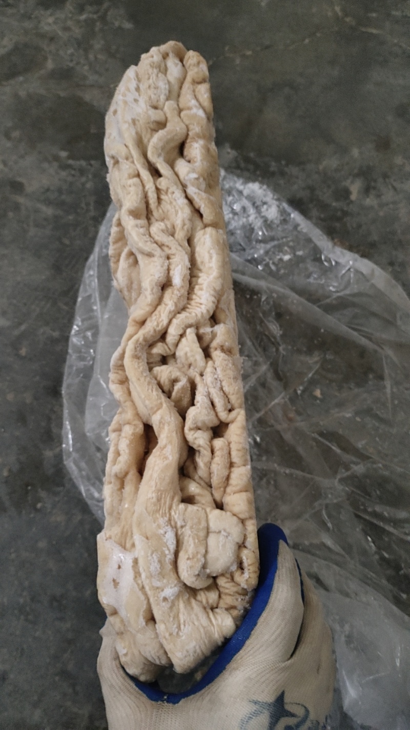 精品大肠