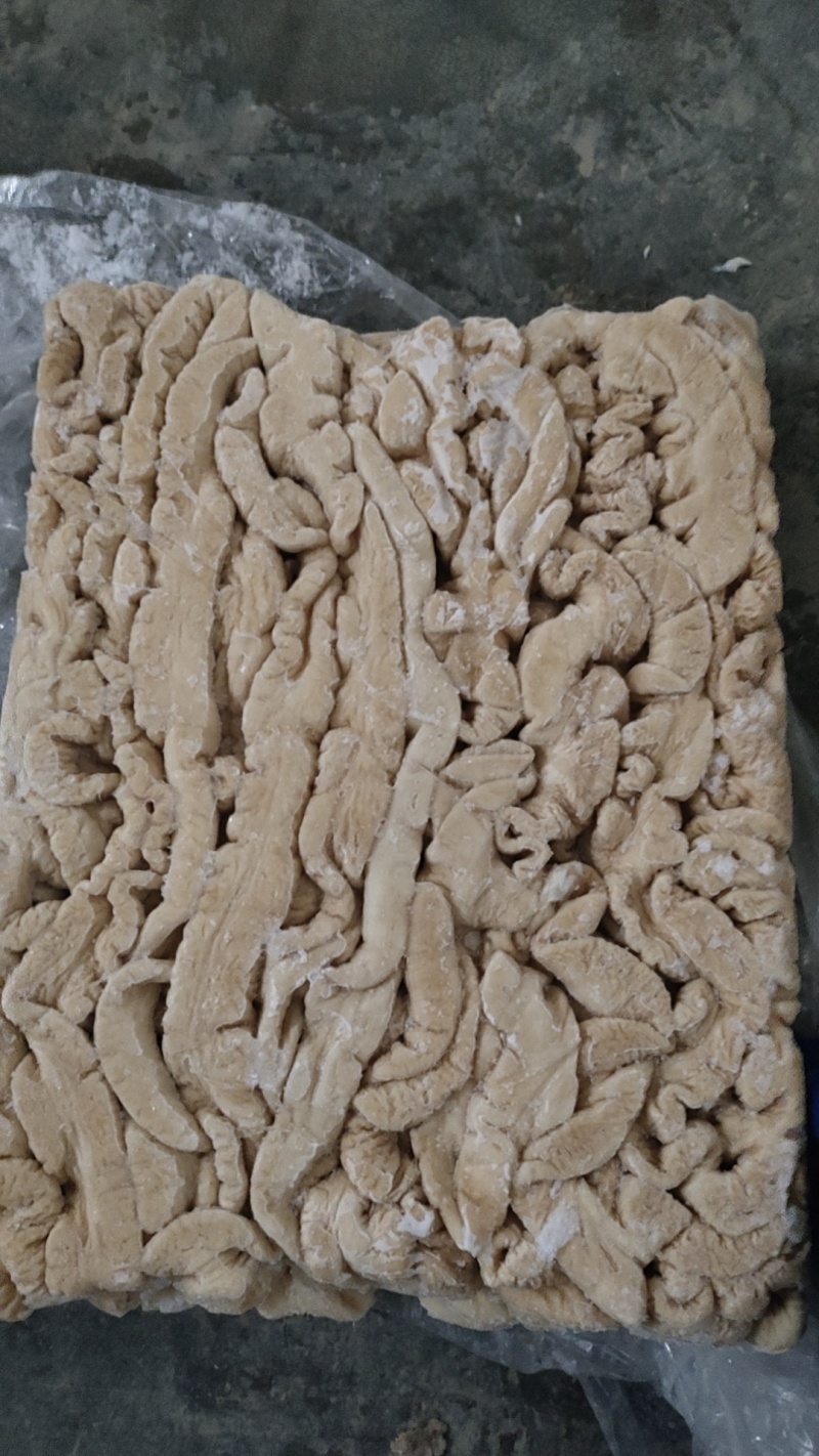 精品大肠
