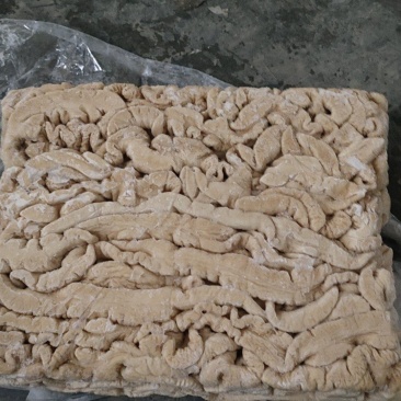 精品大肠