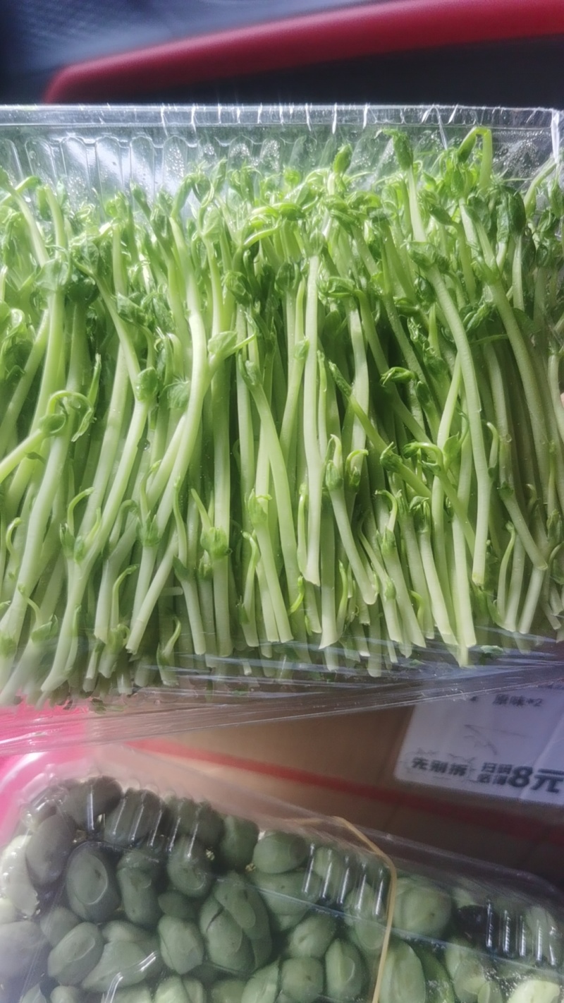 豌豆苗