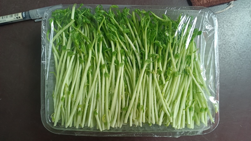 豌豆苗