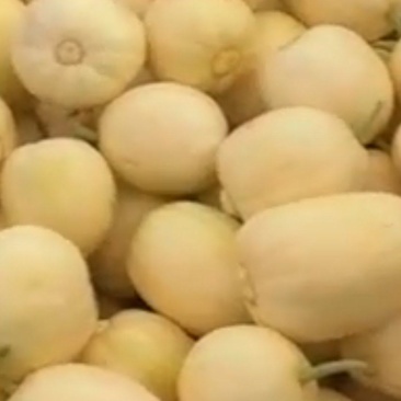 香瓜