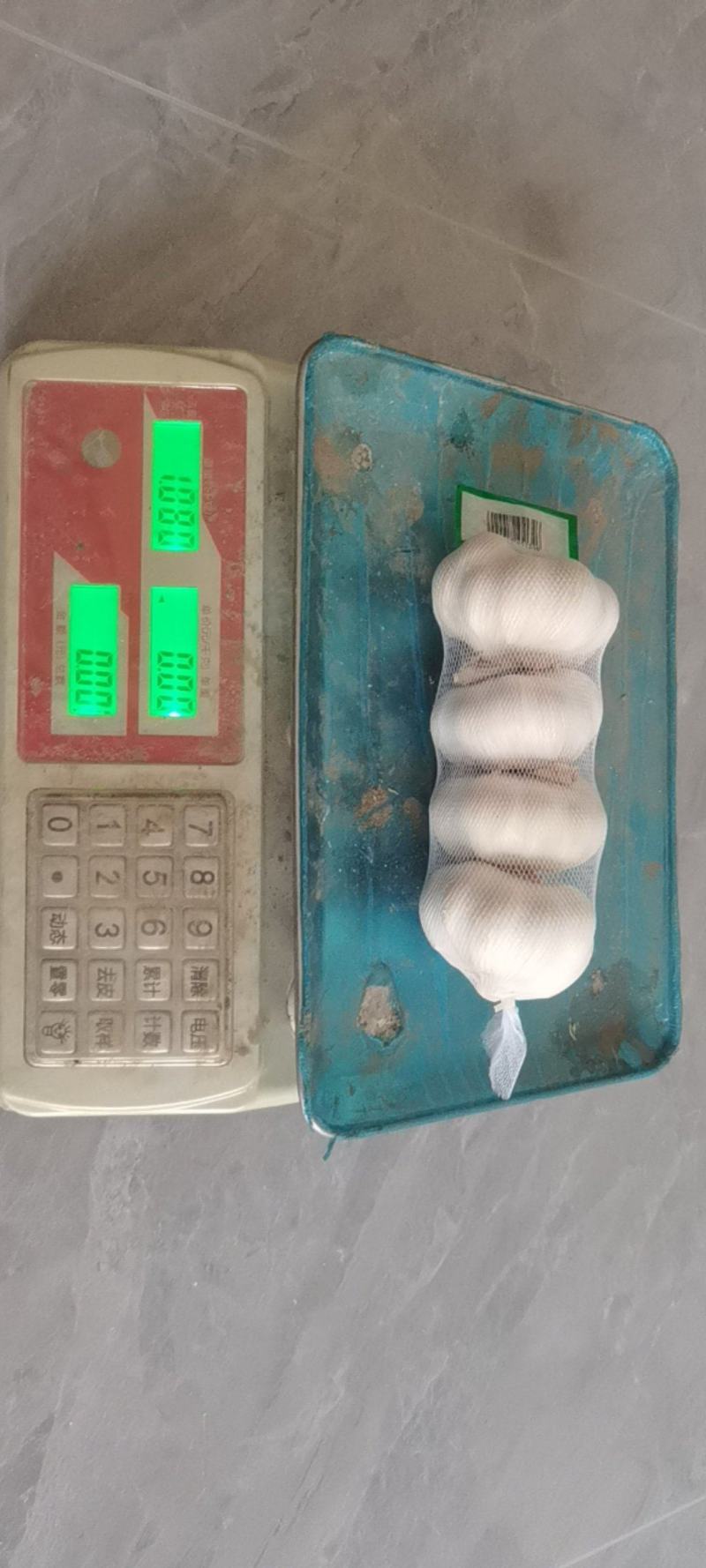 淮阳大蒜