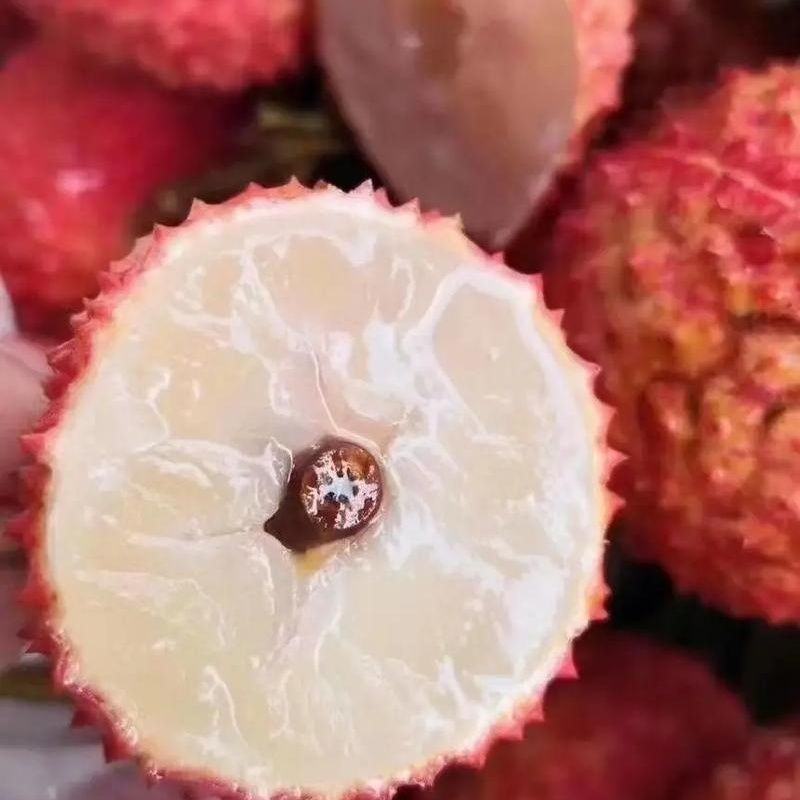 桂味荔枝
