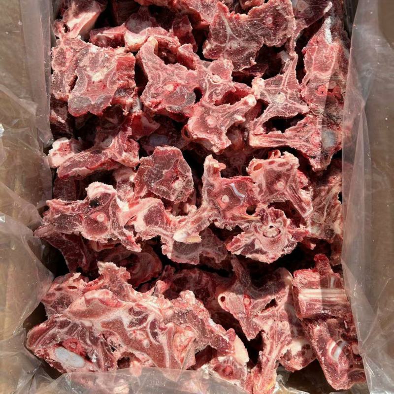 多肉羊蝎子