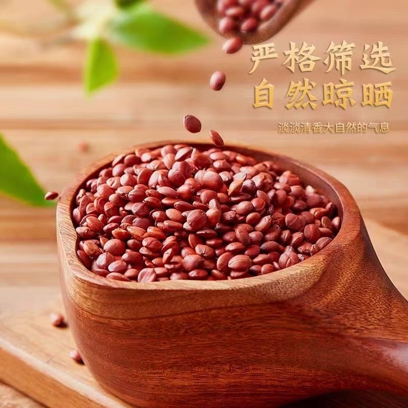 进口枣仁理枣仁精品货