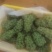 精品茉莉香葡萄清甜可口价格美丽新鲜上市热卖中