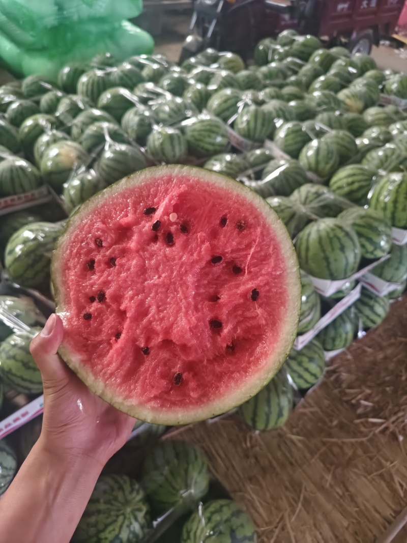 无籽美都产地大量上市小薄皮糖度高红度好保质保量