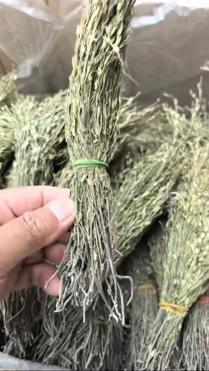 独脚金批发优质独脚金规格齐全可供大货量大价优