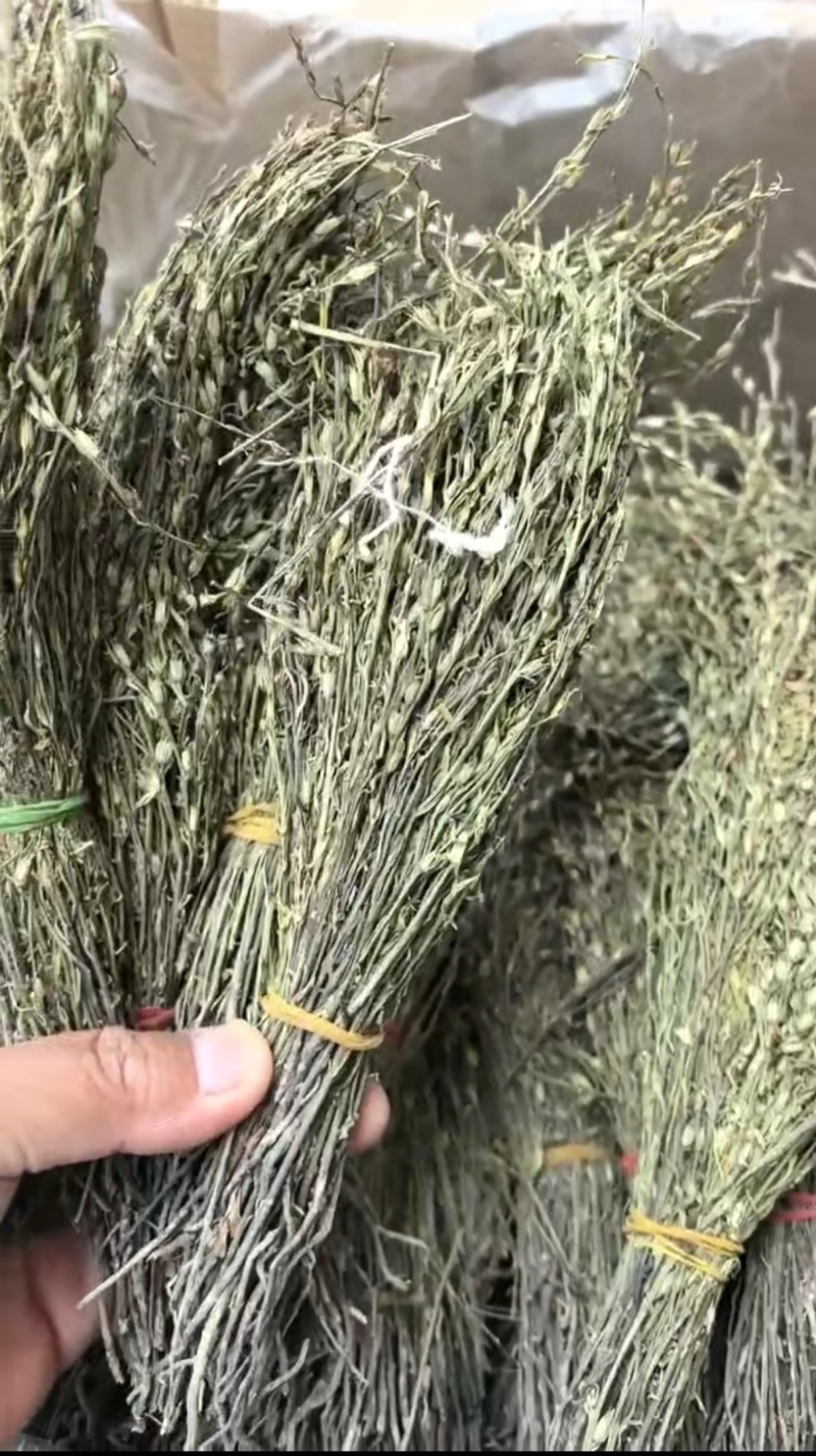 独脚金批发优质独脚金规格齐全可供大货量大价优