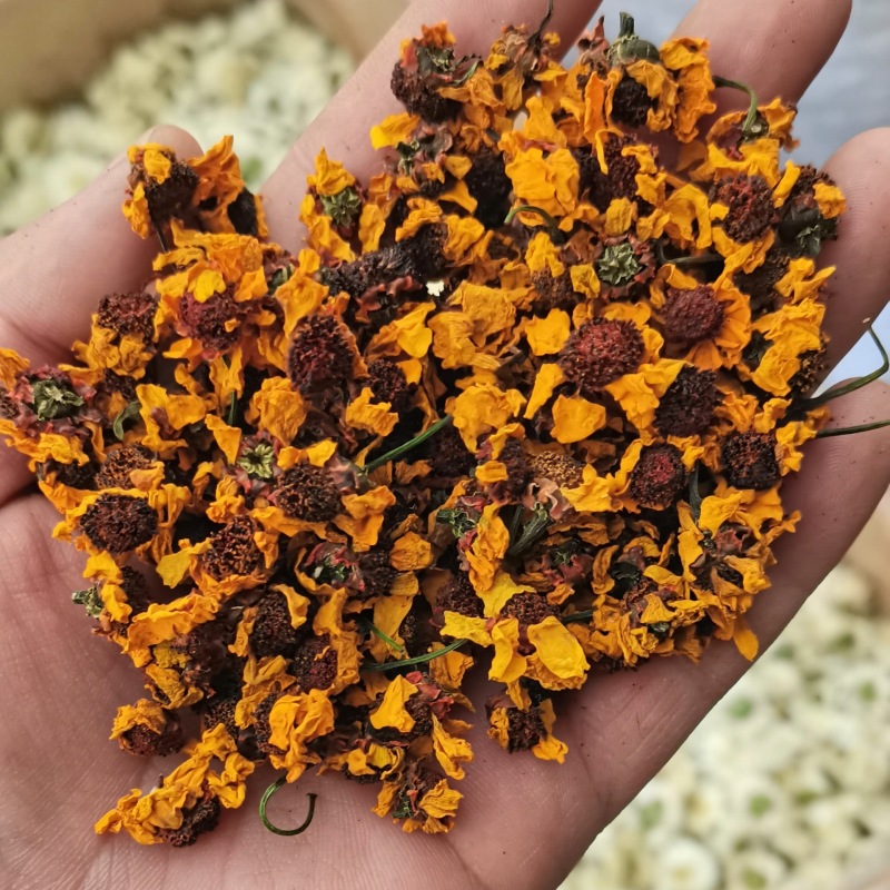 昆仑雪菊新疆优质昆仑雪菊规格齐全可供大货量大从优