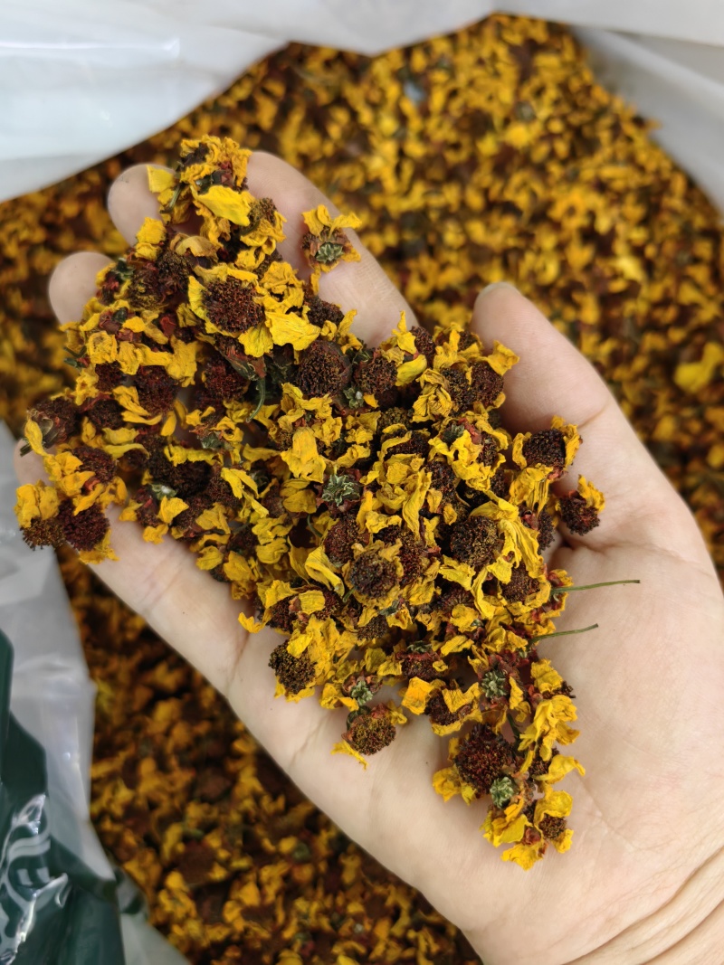 昆仑雪菊新疆优质昆仑雪菊规格齐全可供大货量大从优