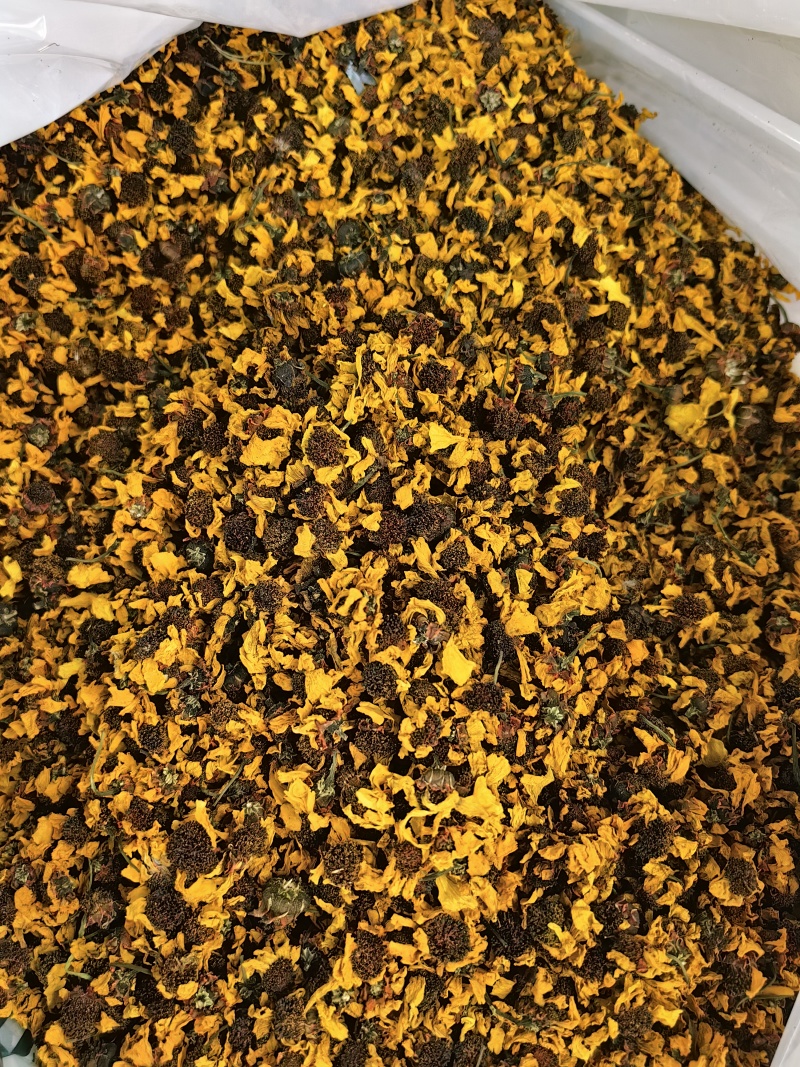 昆仑雪菊新疆优质昆仑雪菊规格齐全可供大货量大从优