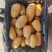 山东一级黄皮黄心土豆，山东A级黄心土豆，山东黄心土豆精品