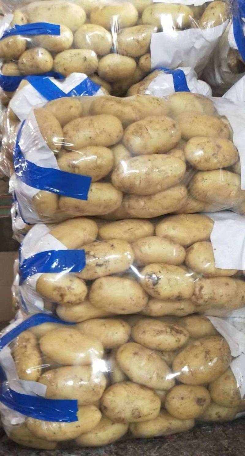 山东一级黄皮黄心土豆，山东A级黄心土豆，山东黄心土豆精品