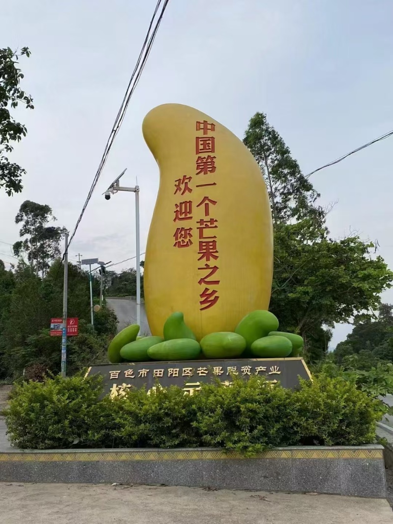 广西百色田阳芒果