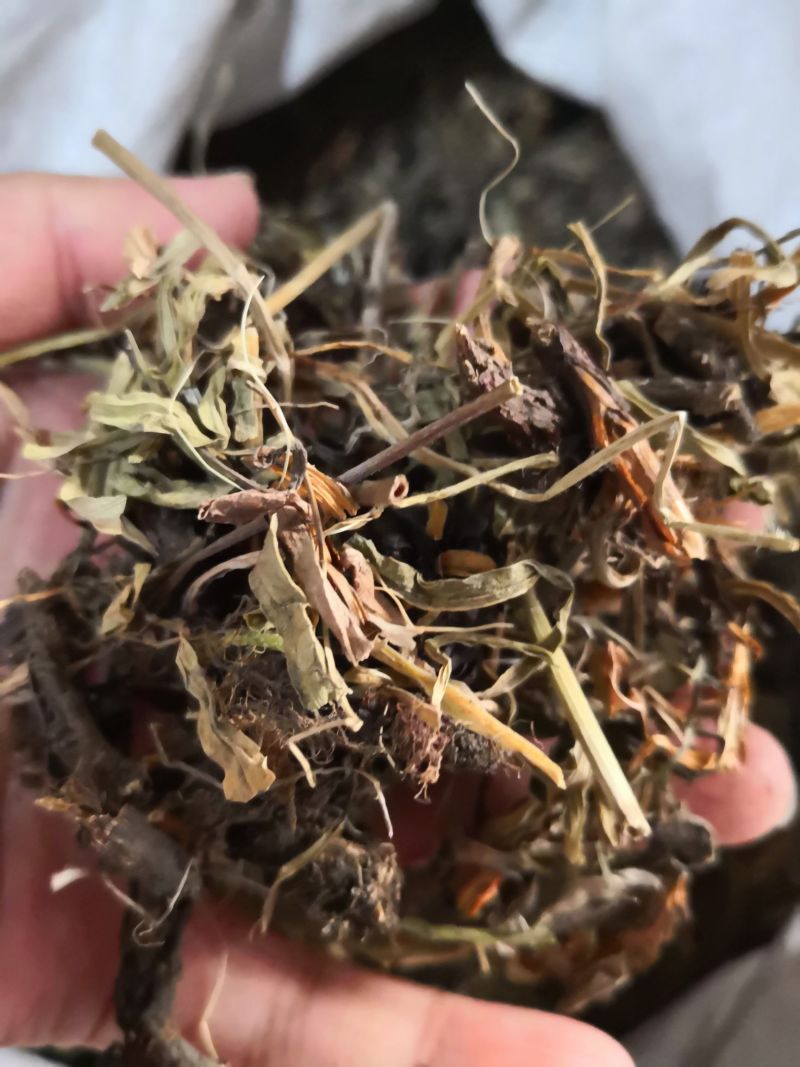 甘松甘松根全草各种规格2斤包邮量大优惠