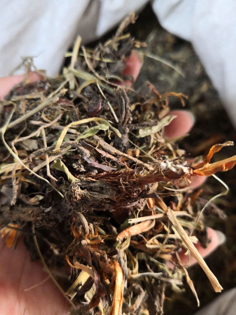 甘松甘松根全草各种规格2斤包邮量大优惠