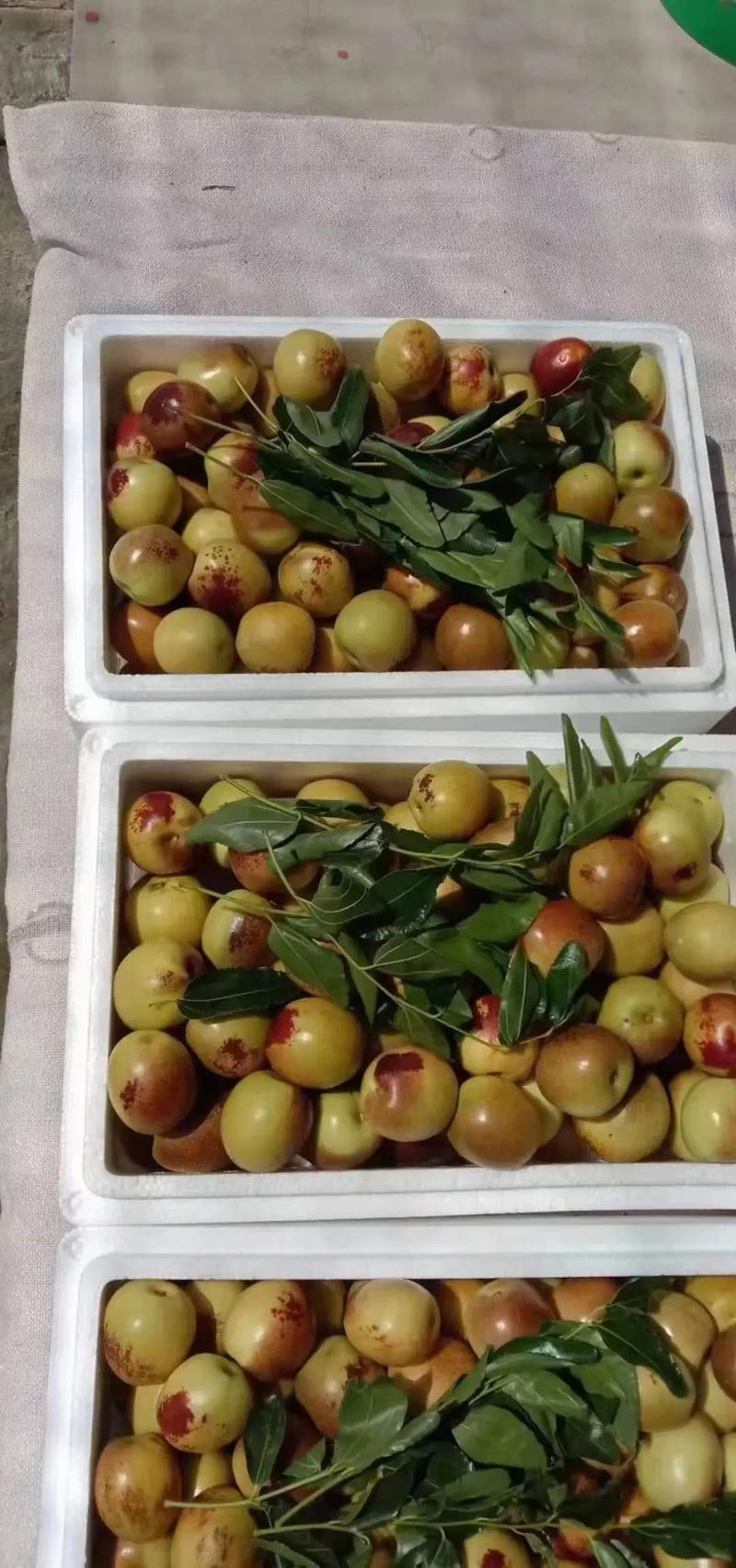 大荔冬枣大荔范家镇出品