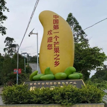 广西百色田阳芒果