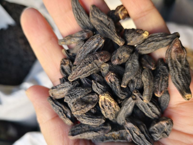 西青果地道一分钱一分货量大优惠