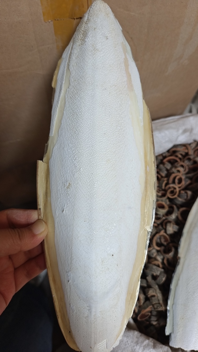 海螵蛸整个切块都是选货2斤包邮量大优惠
