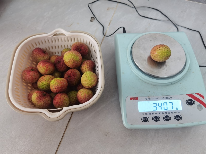 荔枝王，电商货一件代发