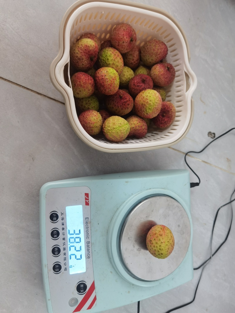 荔枝王，电商货一件代发