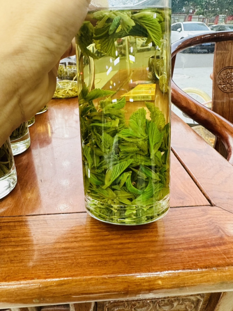 桑叶芽2026年新桑芽桑叶尖山东桑叶