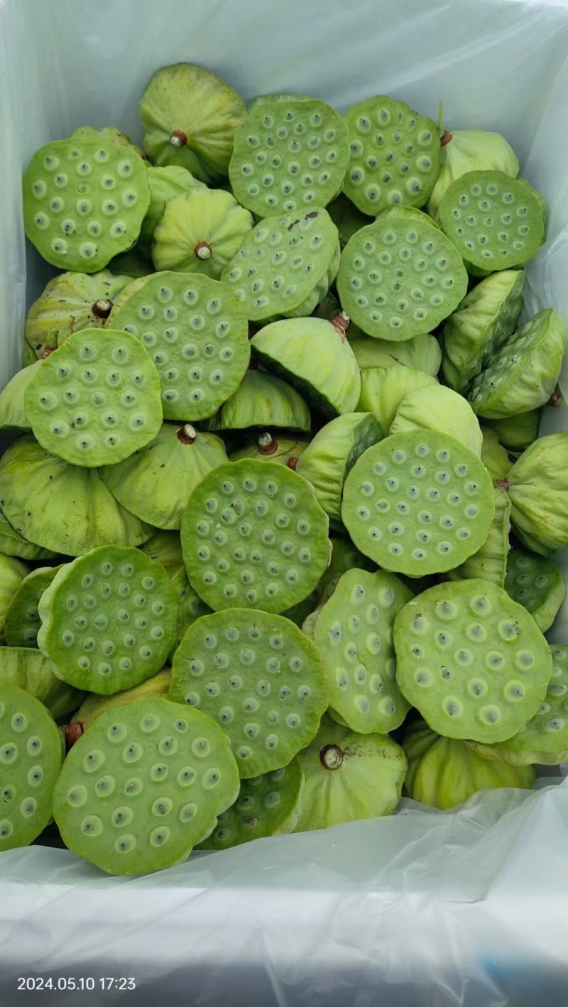 水果莲蓬