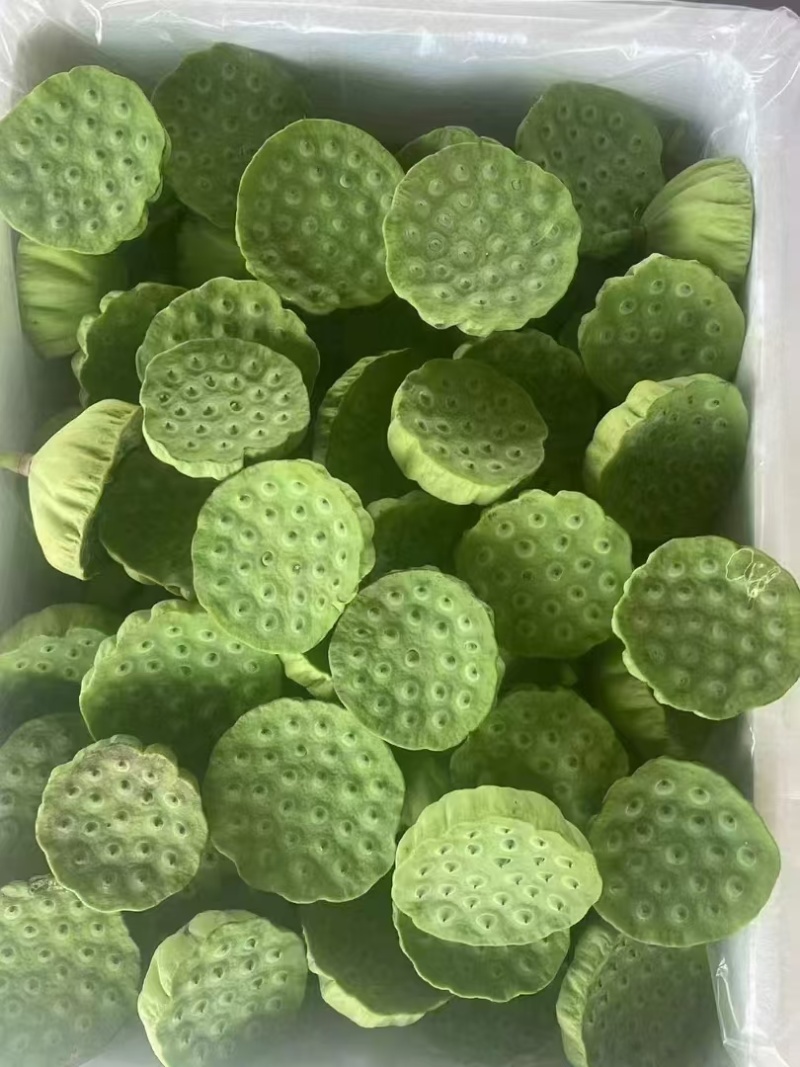 水果莲蓬