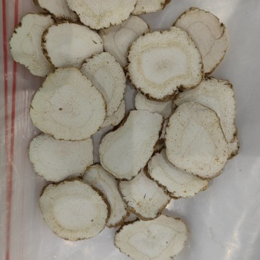 河北产地白芷，一手货源质量保证视频看货，全国发货