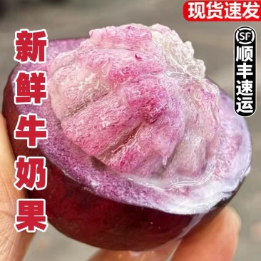 现摘牛奶果新鲜热带水果清甜多汁时令当季鲜果顺丰整箱包邮