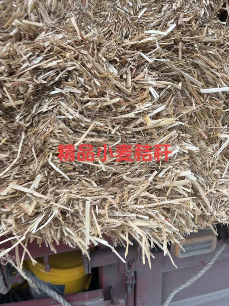 精品小麦秸秆