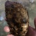 琵琶虾~琵琶虾~琵琶虾~琵琶虾~琵琶虾~琵琶虾~琵琶虾~
