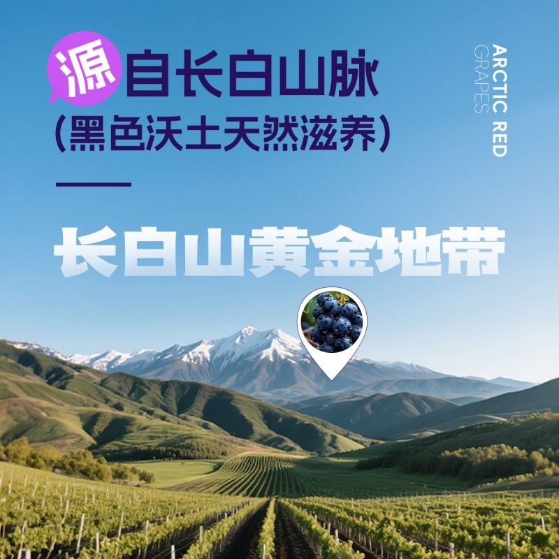 长白山冰葡萄汁100%葡萄原汁不加一滴水非浓缩还原330ml