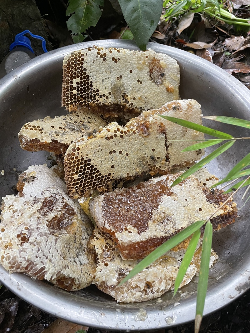 云野生蜂蜜