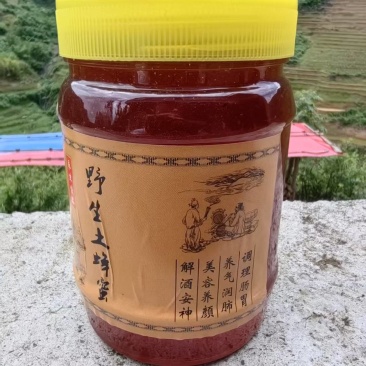 云南野山花蜜，深山里的野生蜂蜜，深山里的馈赠