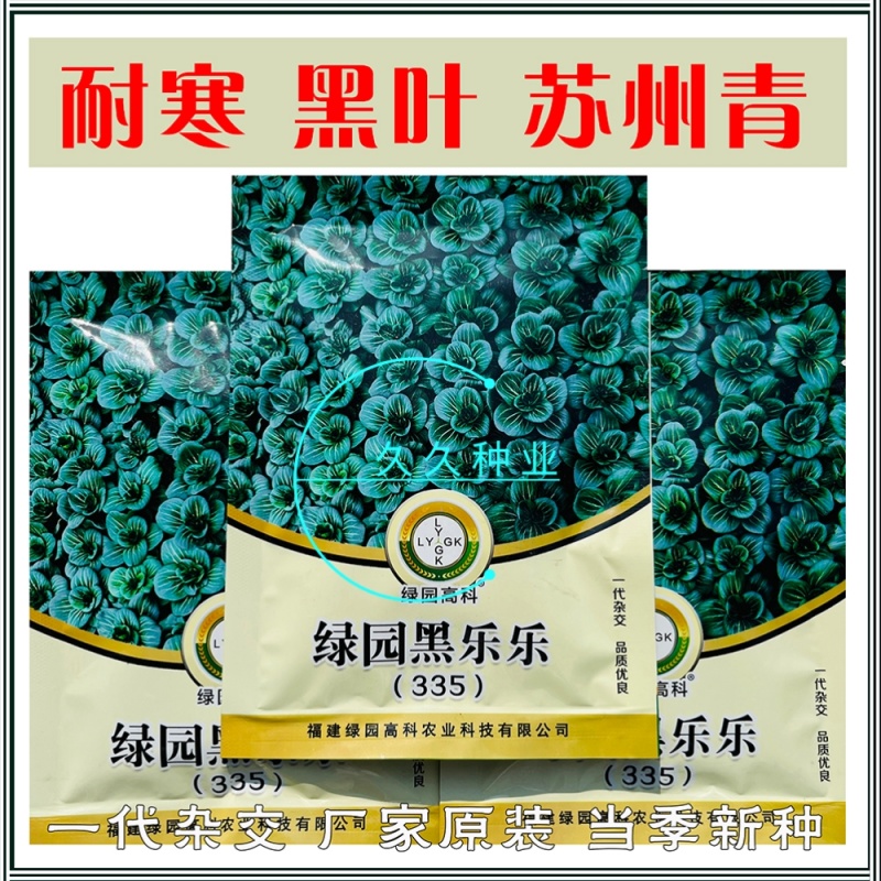 绿园黑乐乐矮萁苏州青种子墨绿油亮矮株高产耐寒商品性佳