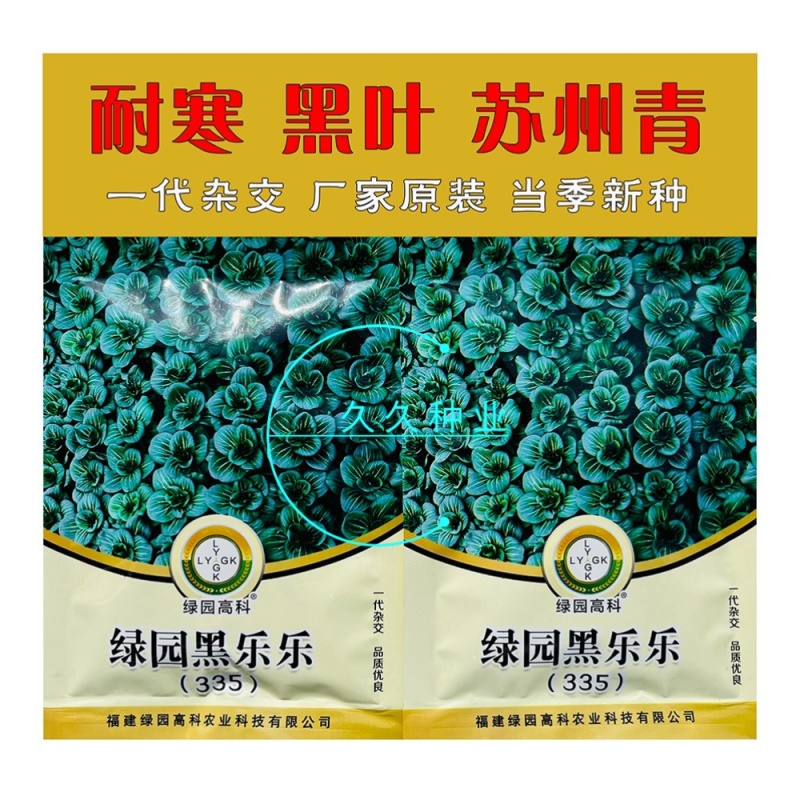 绿园黑乐乐矮萁苏州青种子墨绿油亮矮株高产耐寒商品性佳