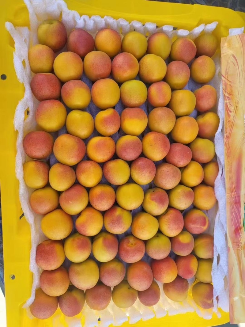 对接商超市场合作共赢
