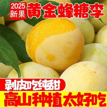 四川蜂糖李黄金李冰糖李桃花李支持一件代发社区团购