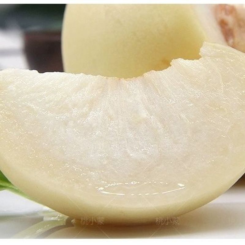 山东蒙阴白桃水蜜桃大量上市寻客商