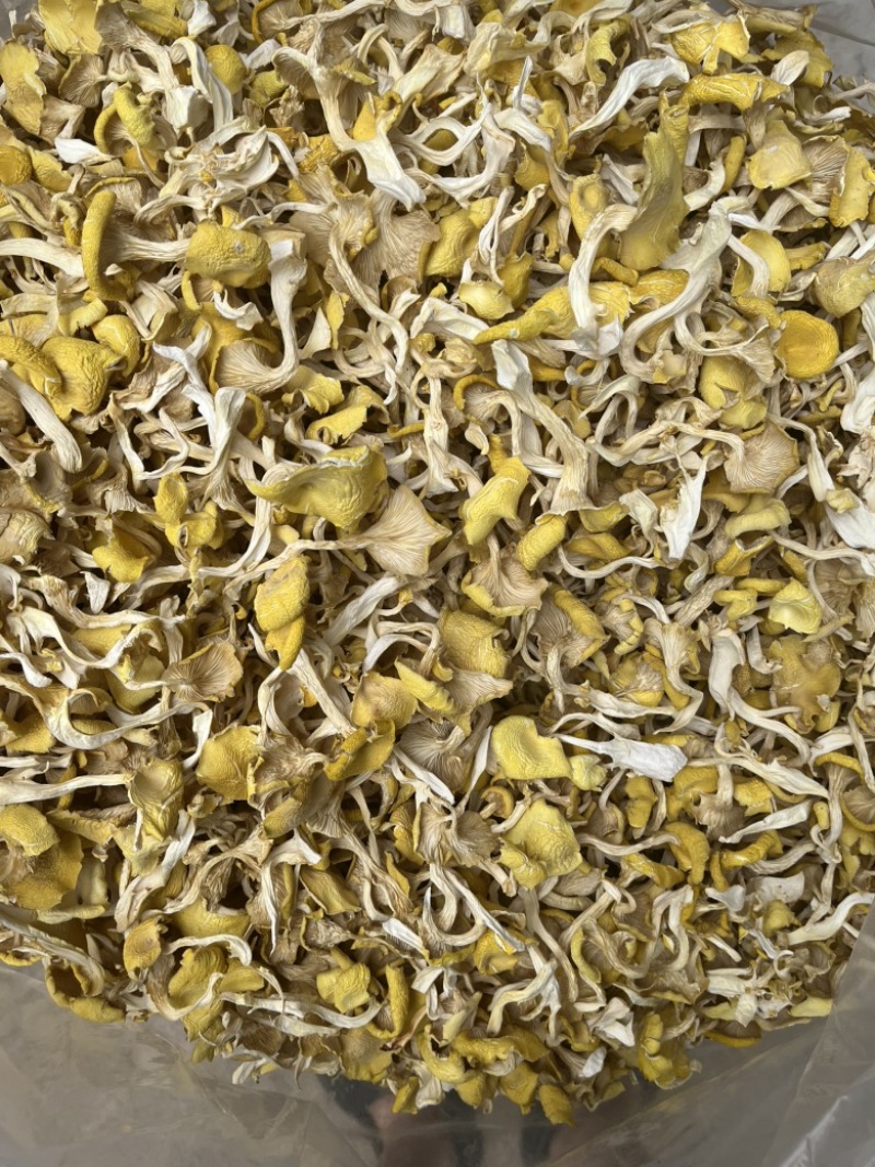 鸡油黄鸡油菌食用菌干货榆黄菇场地直销量大从优