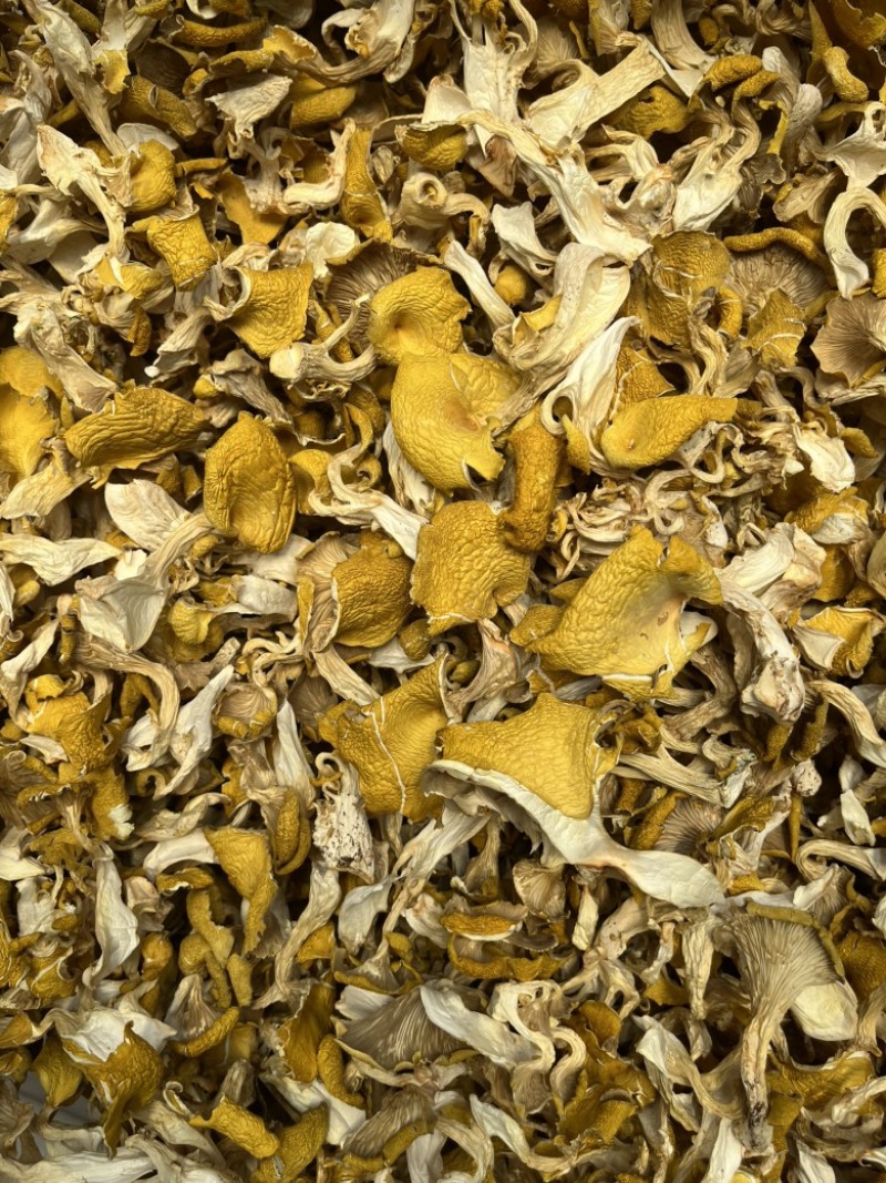 鸡油黄鸡油菌食用菌干货榆黄菇场地直销量大从优
