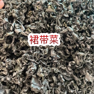 裙带菜地摊电商批发裙带菜干海藻菜螺旋藻凉拌菜紫菜海带