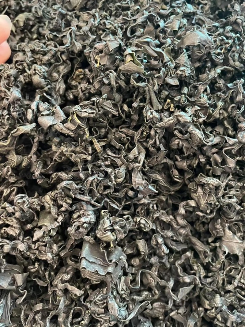 裙带菜地摊电商批发裙带菜干海藻菜螺旋藻凉拌菜紫菜海带