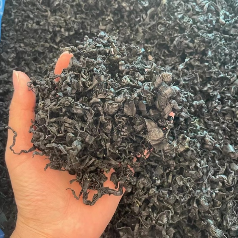 裙带菜地摊电商批发裙带菜干海藻菜螺旋藻凉拌菜紫菜海带