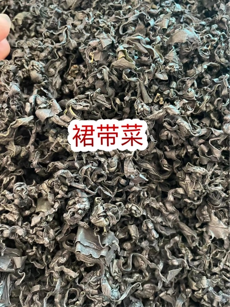 裙带菜地摊电商批发裙带菜干海藻菜螺旋藻凉拌菜紫菜海带
