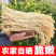 云南高原自然风干无盐萝卜条原味罗卜干